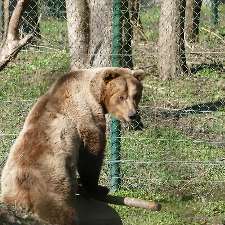 Traum Am Mit Sauna Und Whirlpool 펜션