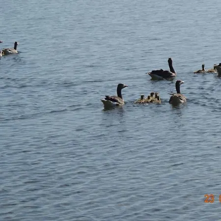Traum Am Mit Sauna Und Whirlpool Zislow