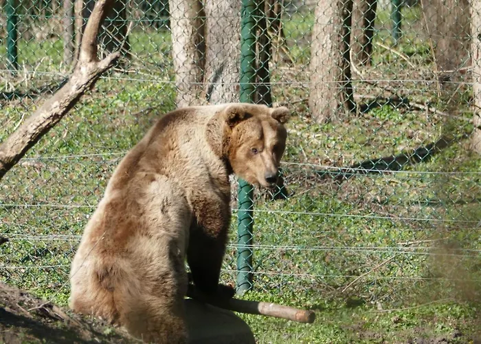 Traum Am Mit Sauna Und Whirlpool 別荘