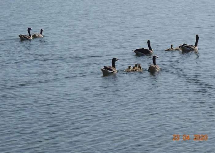 Traum Am Mit Sauna Und Whirlpool Zislow
